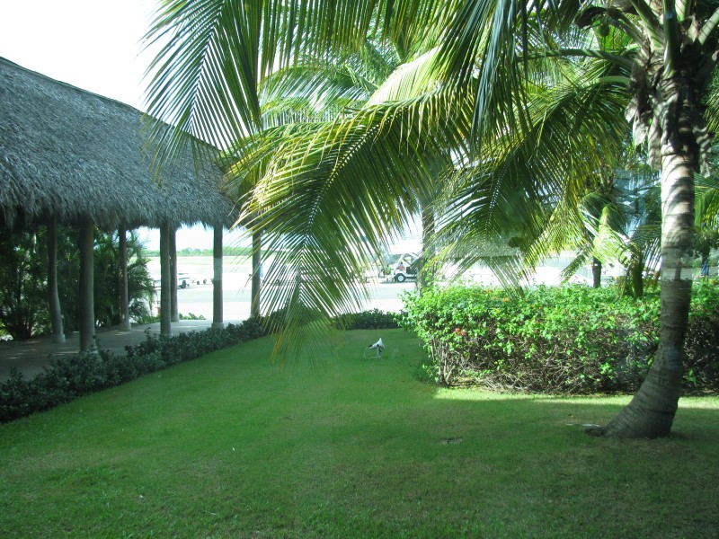 Dominican Republic 669.jpg